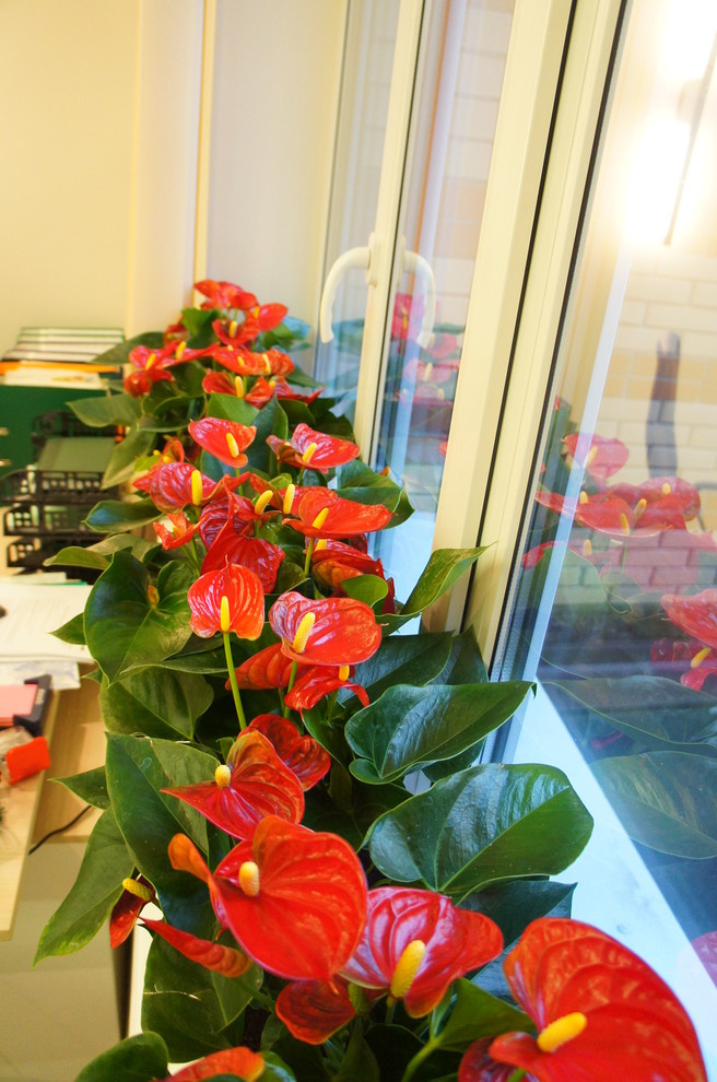 Примеры наших работ