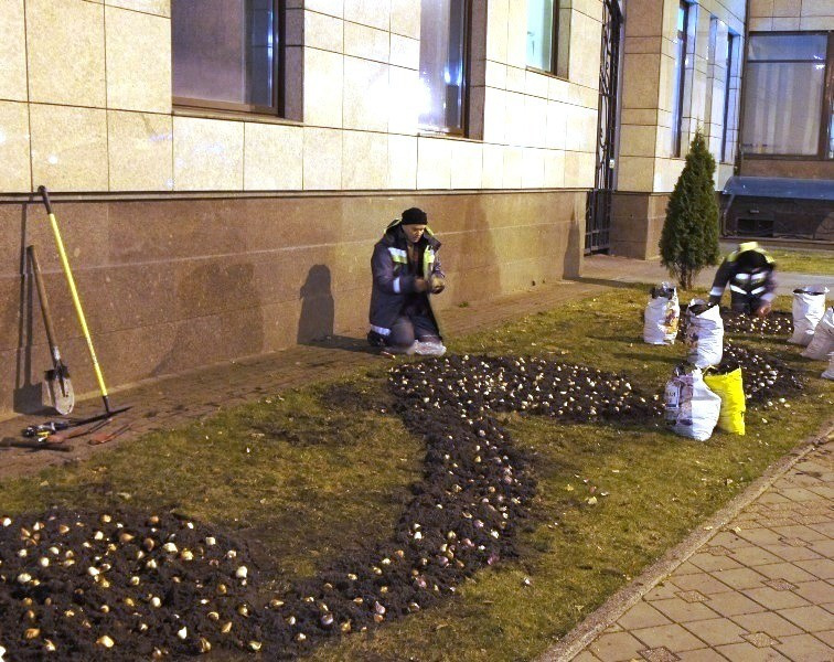 Примеры наших работ