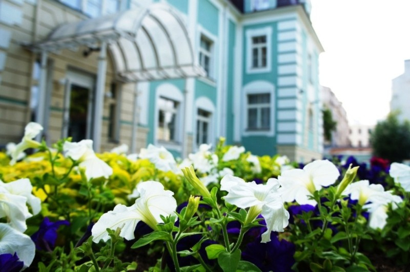 Примеры наших работ