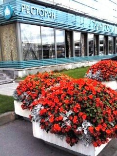 Примеры наших работ