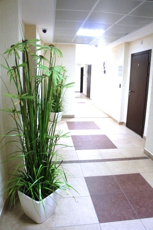 Примеры наших работ