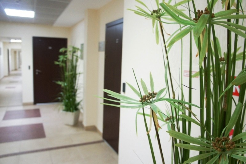 Обложка проекта: Примеры наших работ