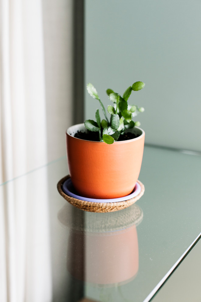 Калужская/ студия