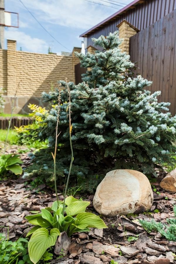 Эко дом в Говорово. Говорово.
