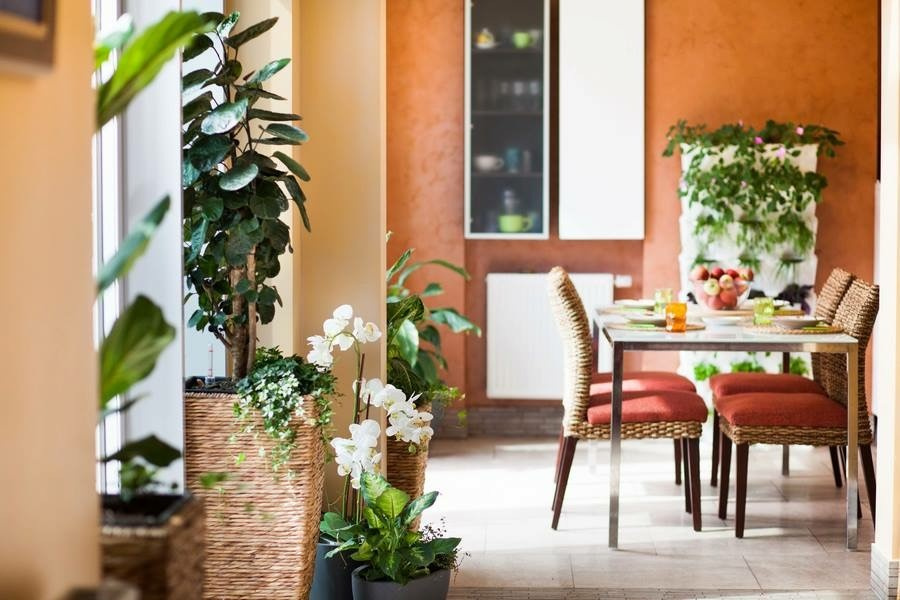 Эко дом в Говорово. Говорово.