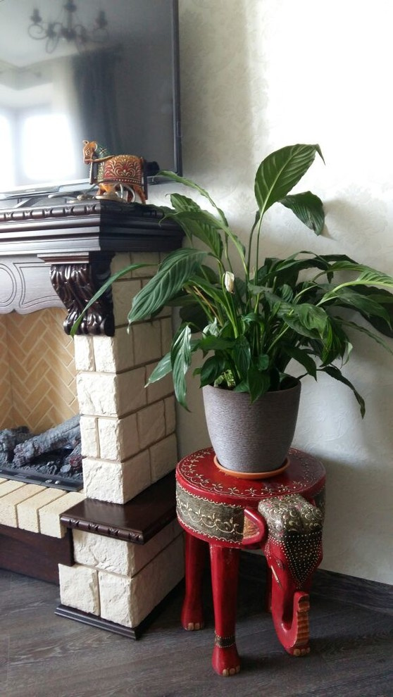 Small flat for gorgeous lady