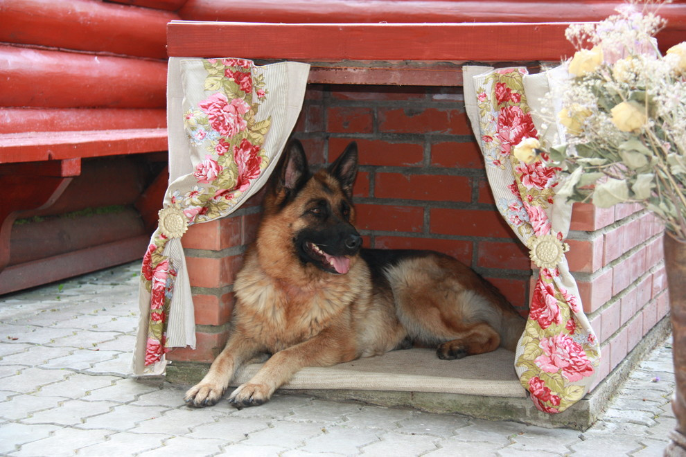 Обложка проекта: Беседка с мангалом