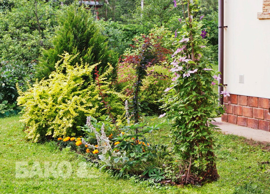 Дом Звенигород М