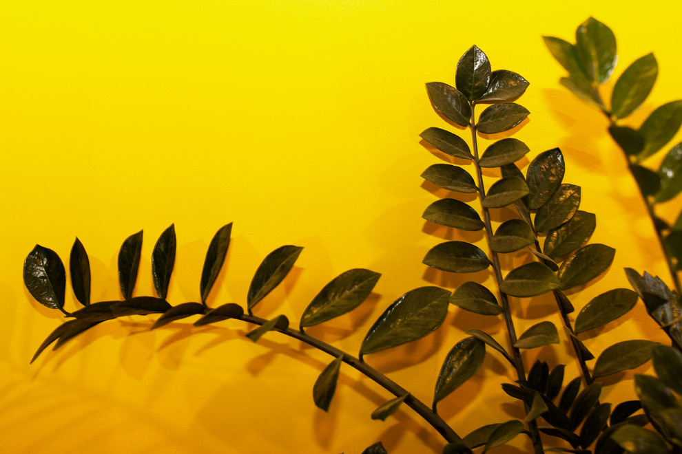 Эва и Вадим/ Тверская