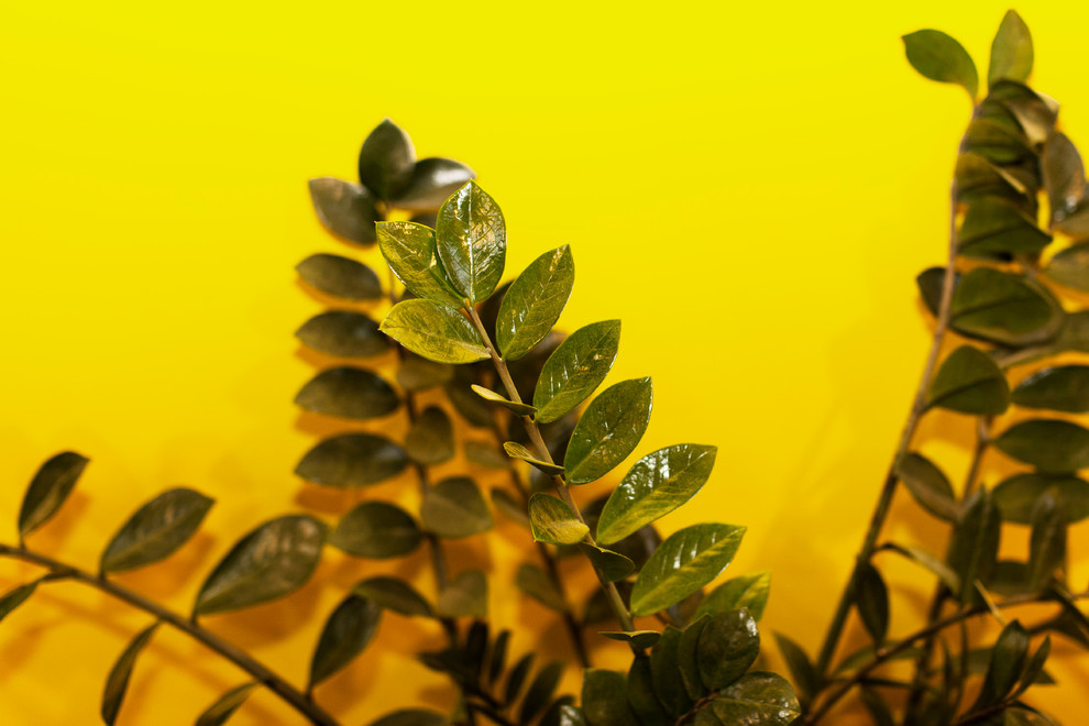 Эва и Вадим/ Тверская