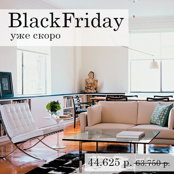 BLACK FRIDAY SALE -80%