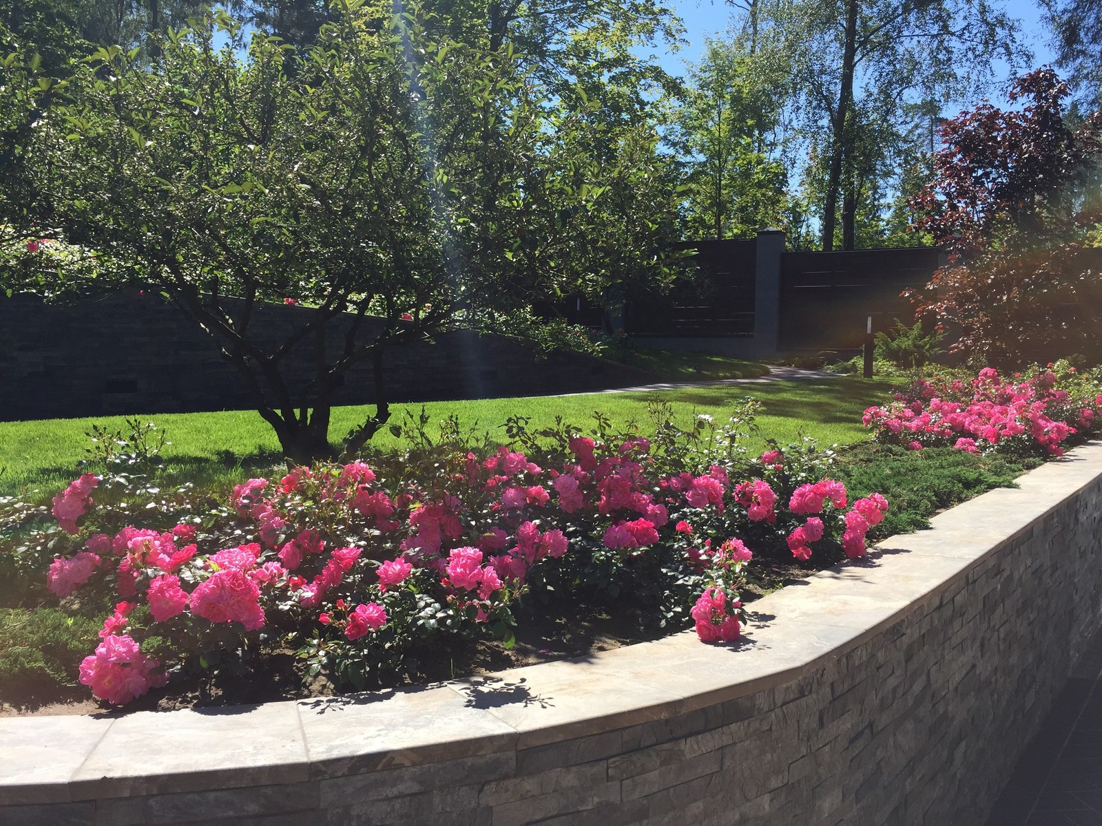 Террасный сад, Новая Рига