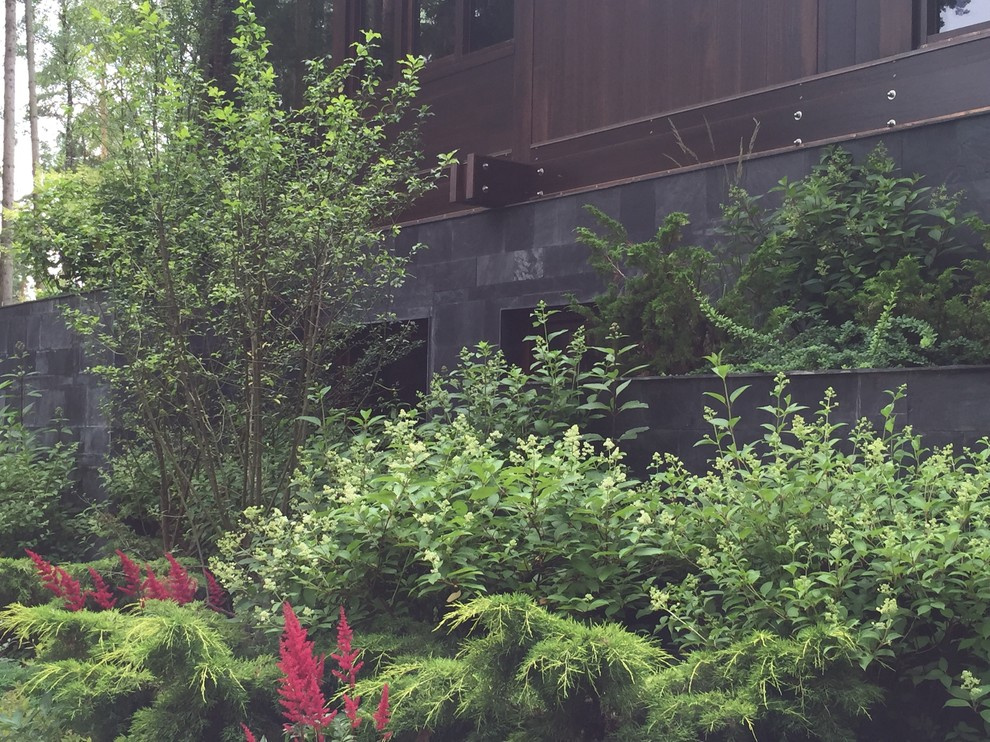 Сосновый бор