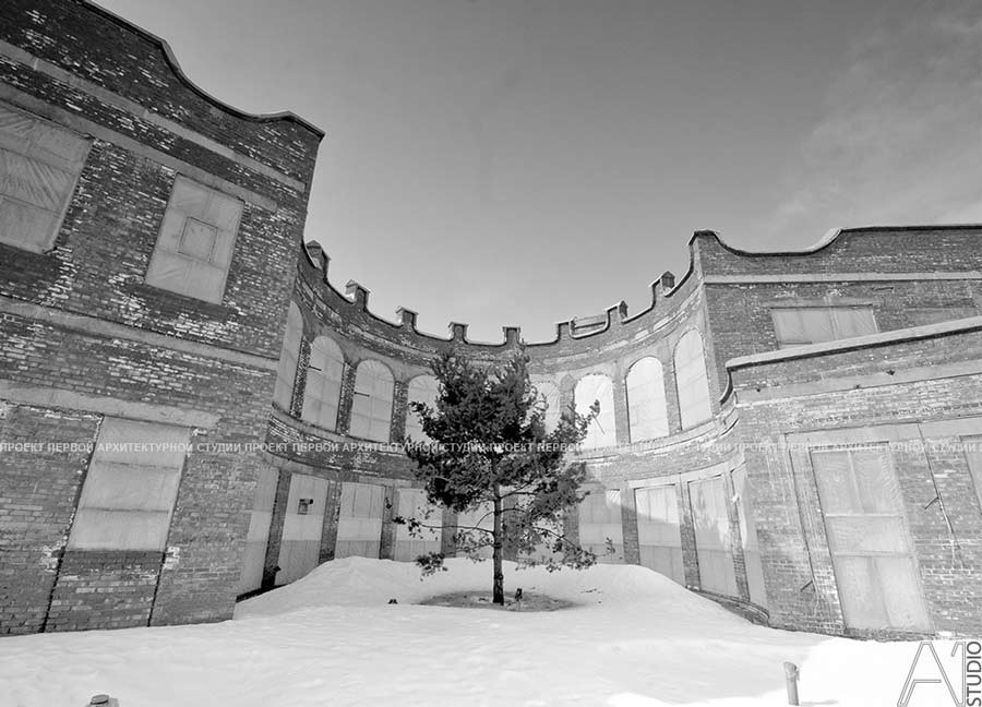 Проект загородного особняка, 2012г., строительство 2013-14гг. Архитектурная стил
