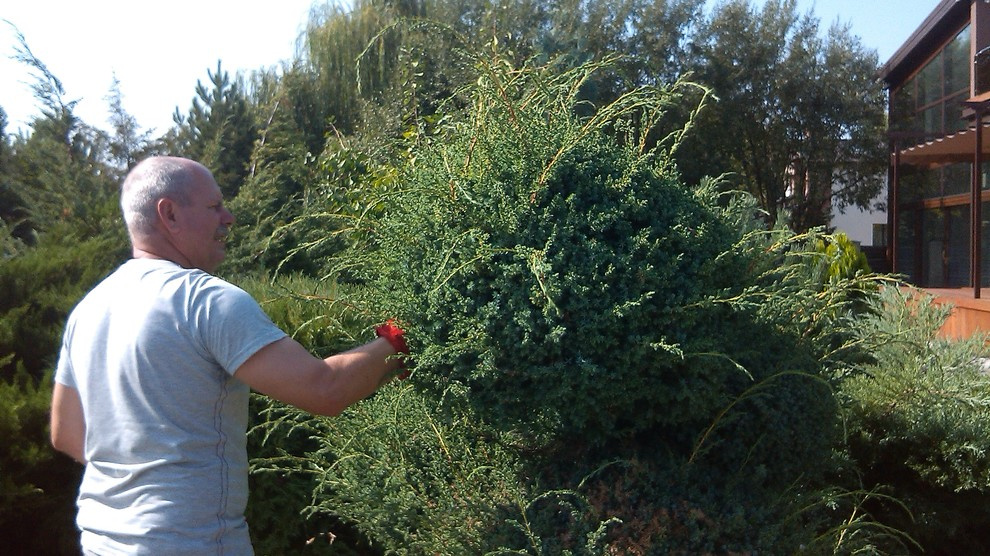 Уголок где хочется жить