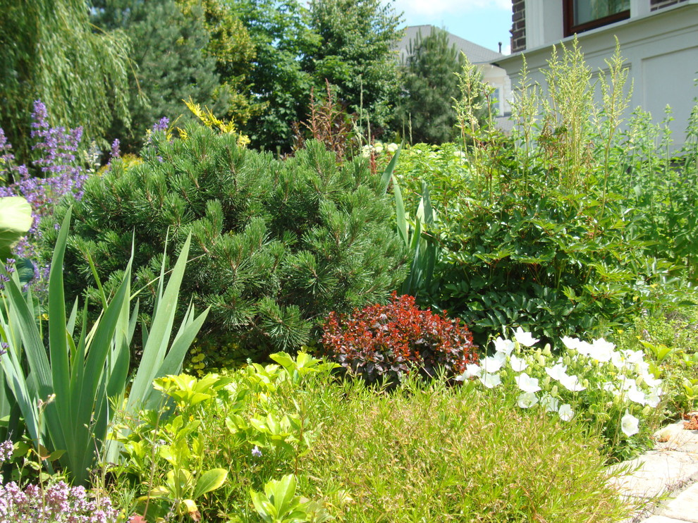 Миксбордер