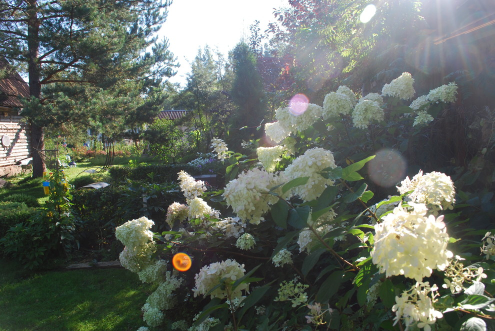 Сады по моим проектам.