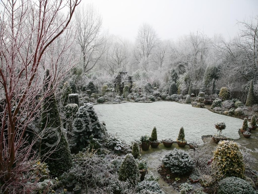 Ландшафтный дизайн