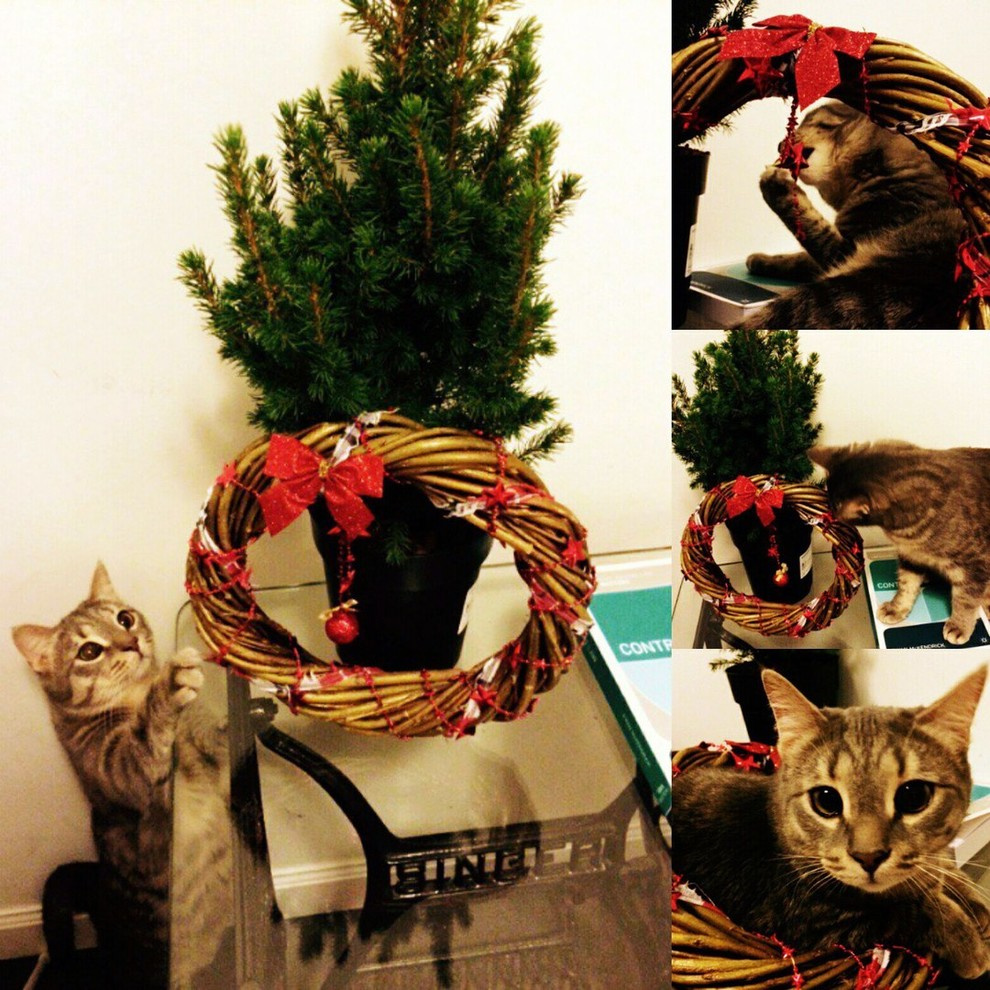 Венки La Couronne в интерьере и в руках