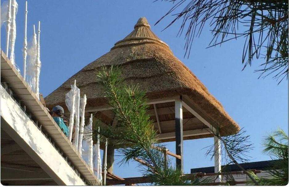 Обложка проекта: Беседка из камышовой крыши с узором волн