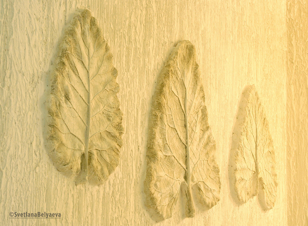 Ресторан японской кухни "Харакурэ"