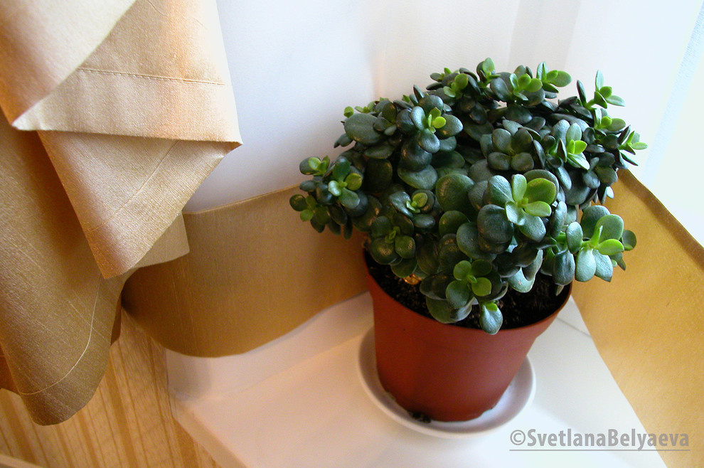 #ПроектПоФенШуй Квартира на двоих в два уровня.