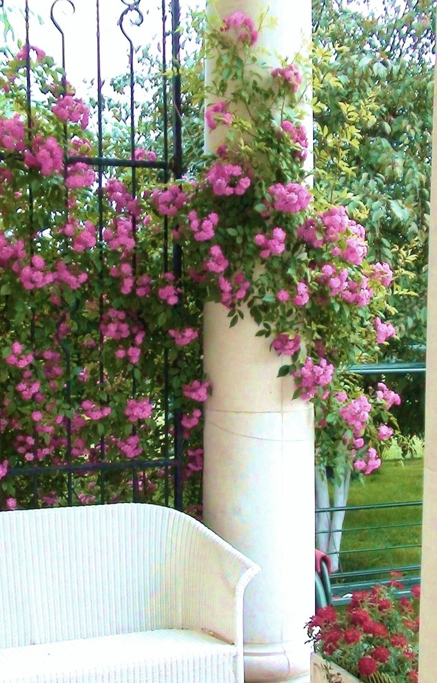 Наши работы