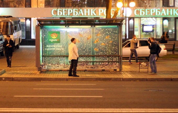 Пузырьковая остановка (г.Киев  ул.Крещатик)