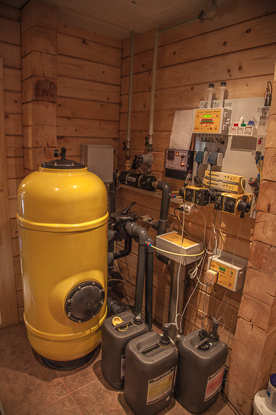 Бассейн в деревянном доме