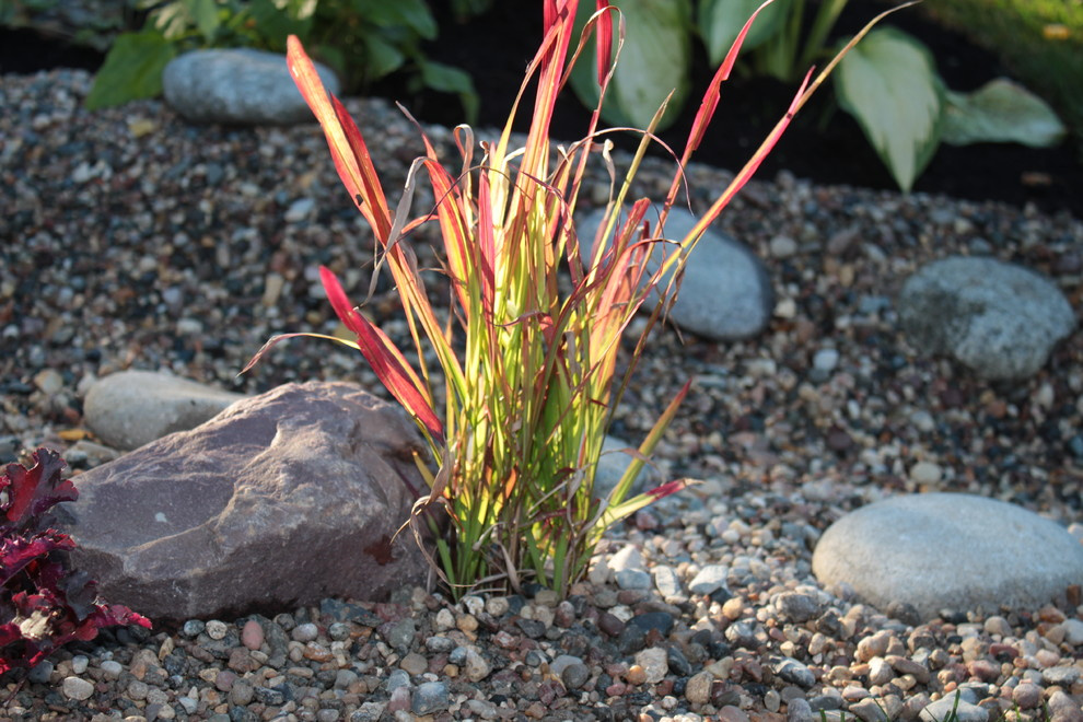 Сад для души!