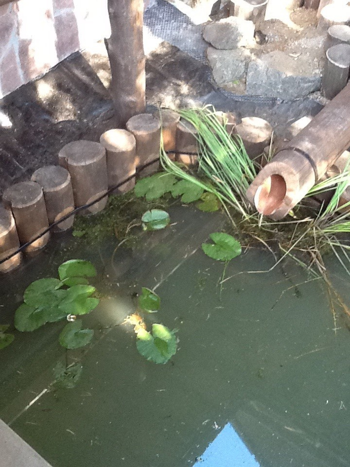 Загородные усадьбы