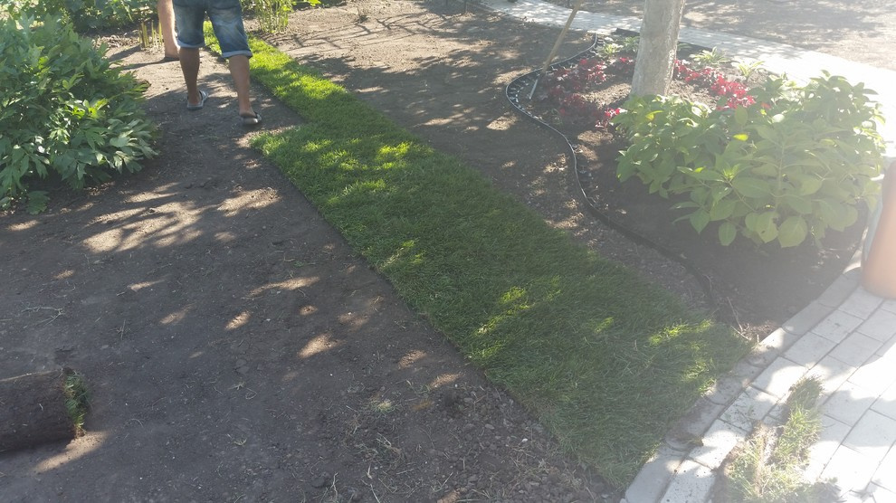 Рулонный газон в Ростове-на-Дону все работы под ключ!