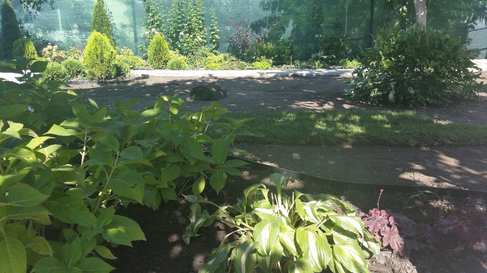 Рулонный газон в Ростове-на-Дону все работы под ключ!