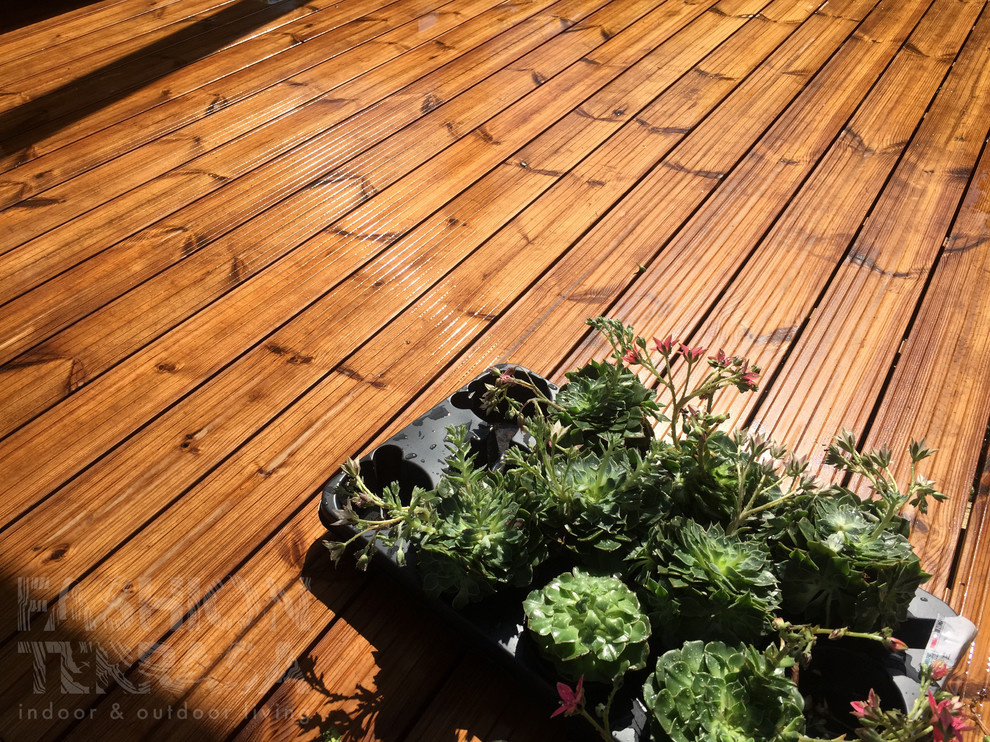 Moscow Flower Show 2015