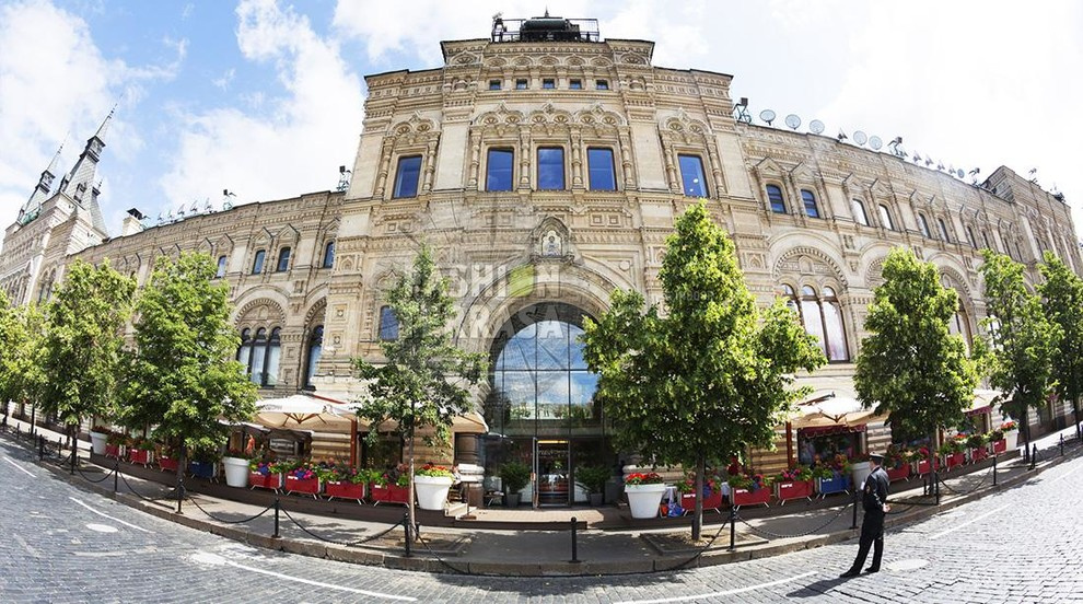 Bosco Bar & Bosco Cafe