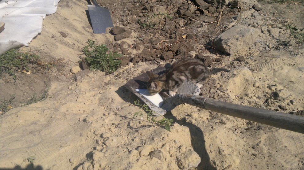 Строительство искуственных водоемов: пруд, каскад, водопад, ручей.