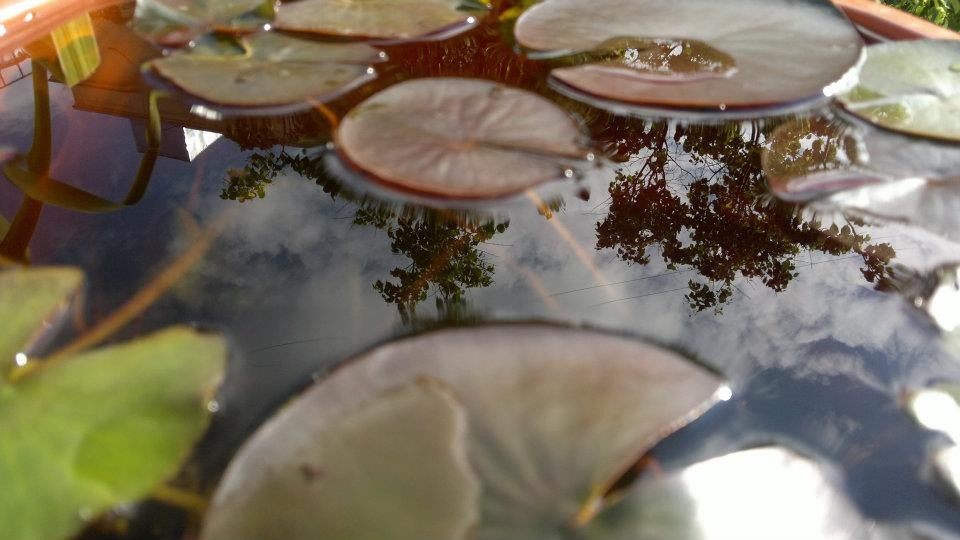 Балкон Уланский