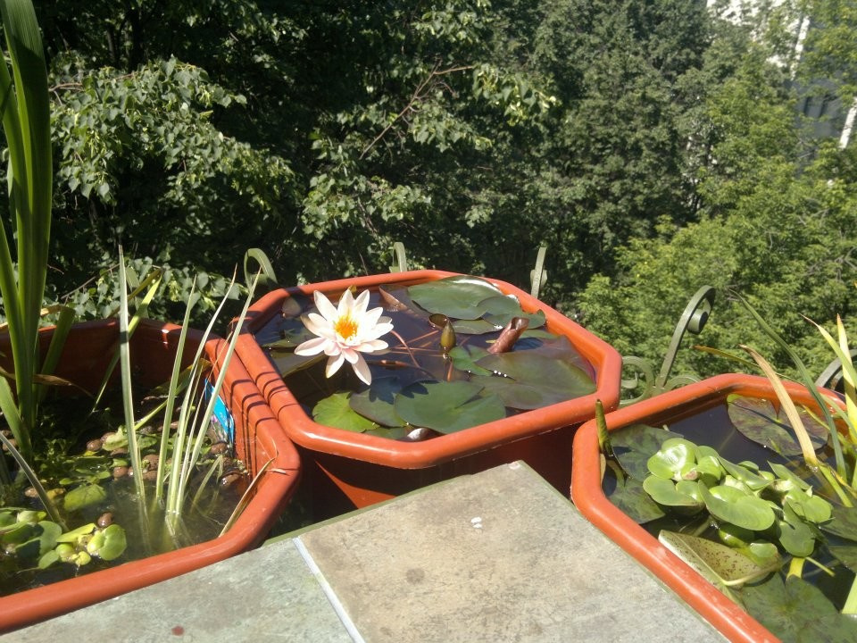 Балкон Уланский