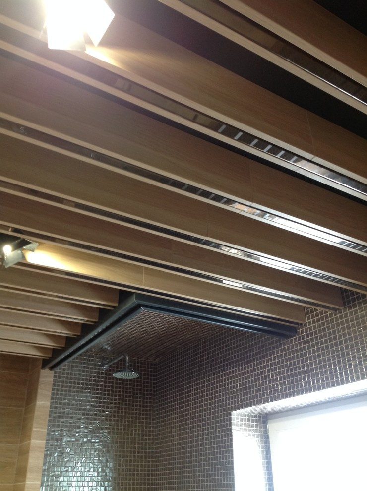 Rogosinino Prototype 2/14