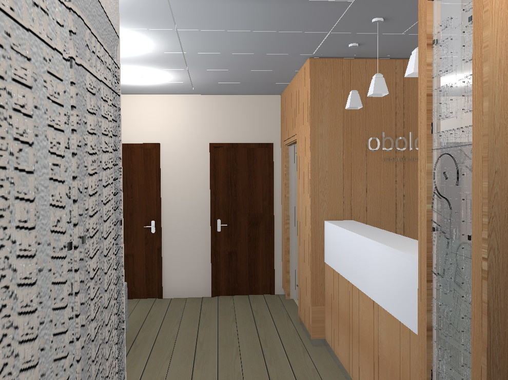 The project was released in 2015