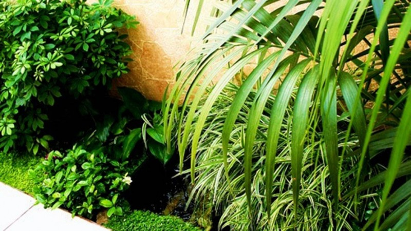 Озеленение интерьера