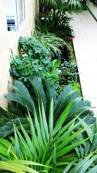 Озеленение интерьера