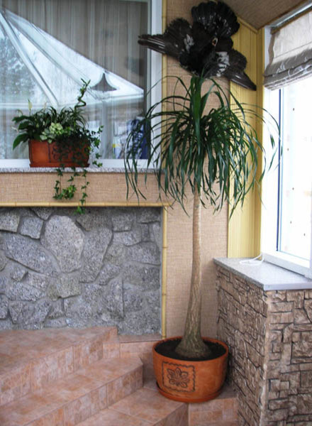 Озеленение интерьера