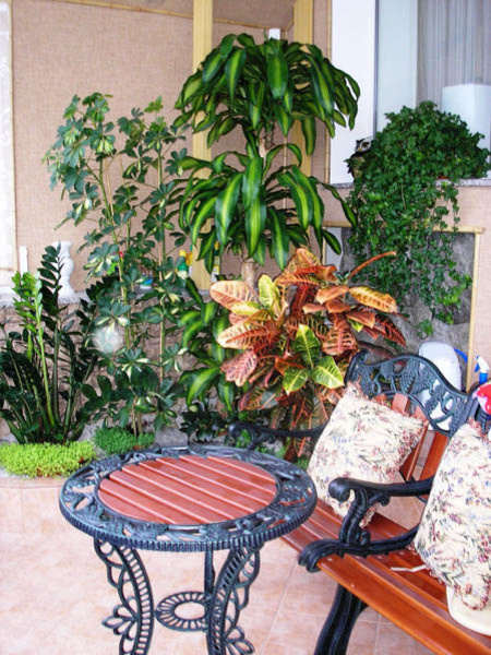 Озеленение интерьера