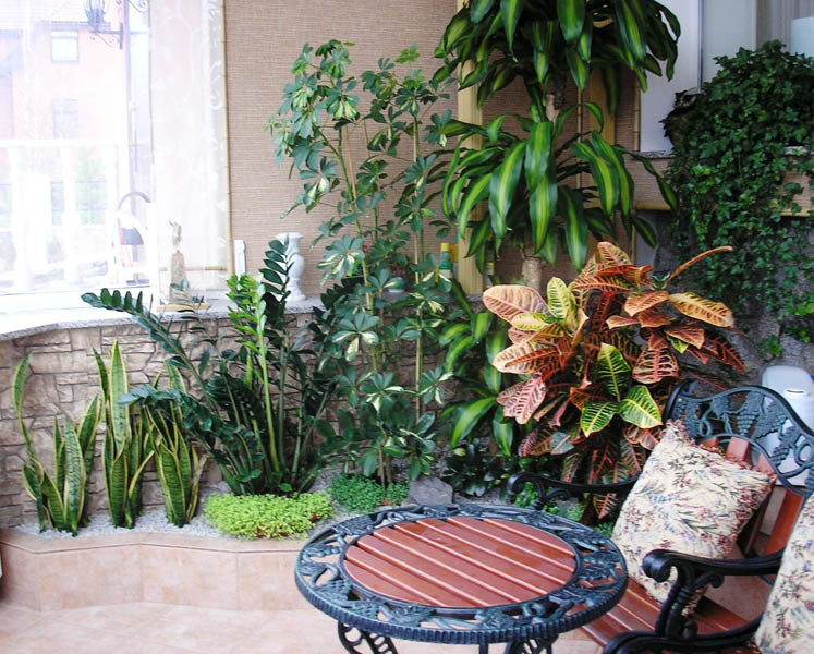 Озеленение интерьера