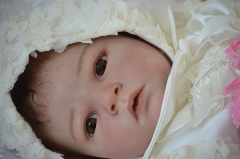 Обложка проекта: Куклы реборн