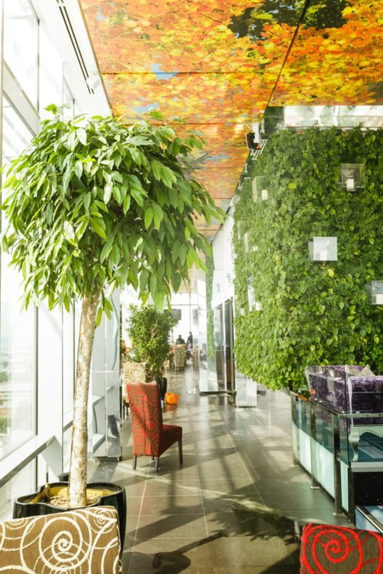 Корстон Казань