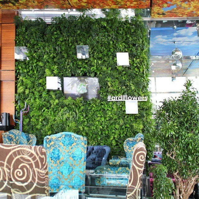 Корстон Казань