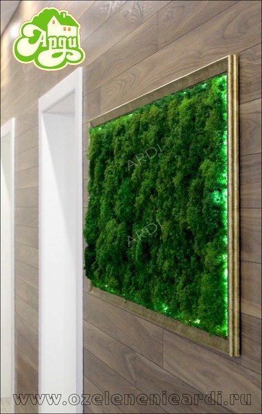 Обложка проекта: Панели из стабилизированного мха