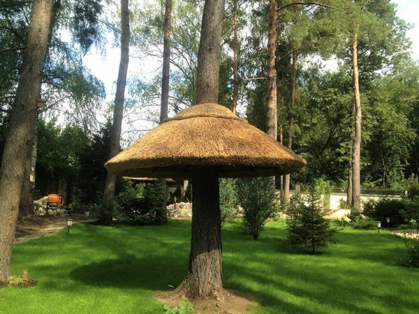 БЕСЕДКА ВОКРУГ ЖИВОГО ДЕРЕВА. СОЛОМЕННАЯ КРЫША. ДЕРЕВНЯ КОРОВИНО.